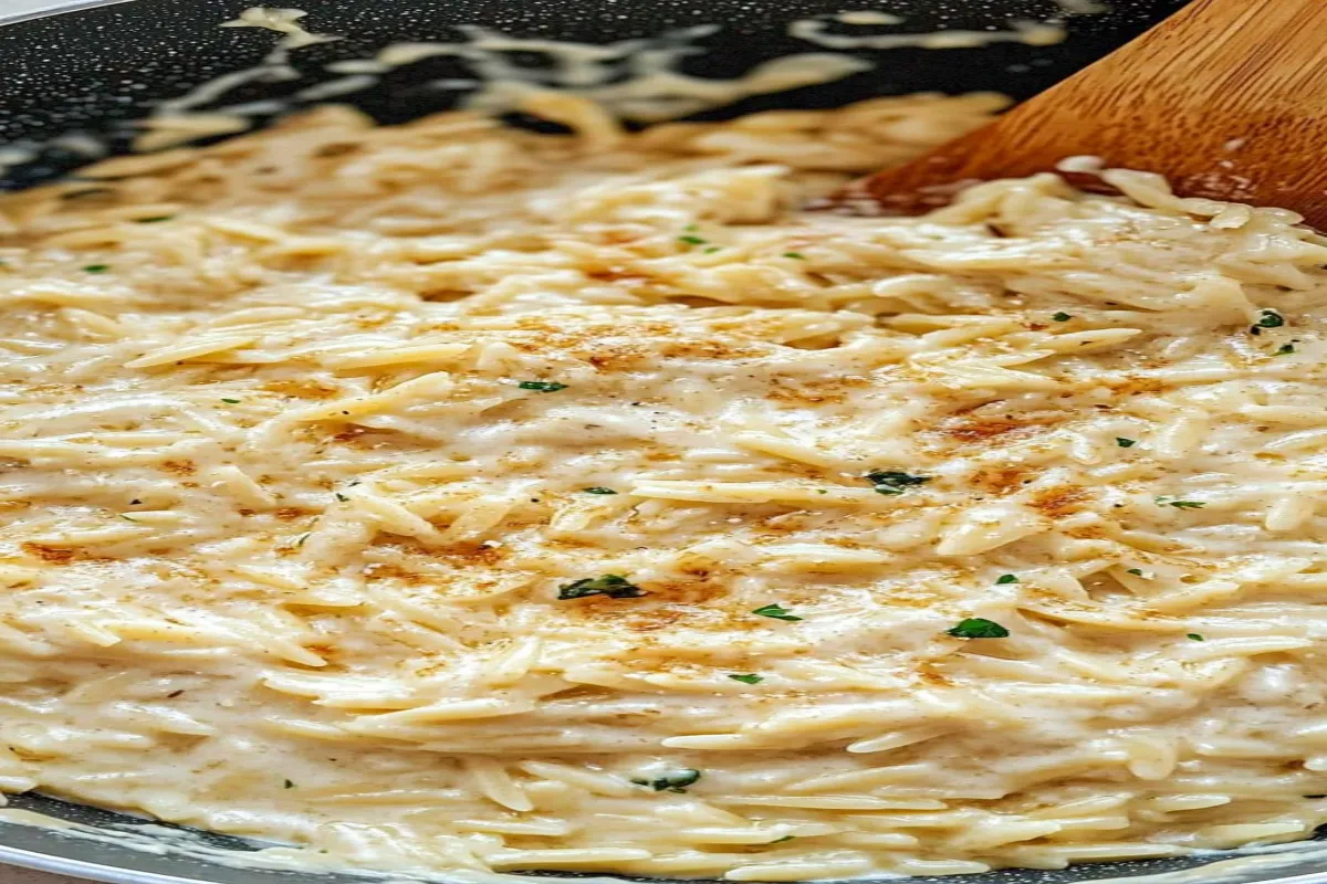 "Creamy Garlic Parmesan Orzo served in a rustic one-pot, featuring golden orzo pasta, melted Parmesan, and a sprinkle of fresh parsley.